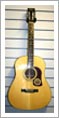 Washburn_acoustic