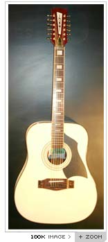 eko ranger 12 string acoustic guitar